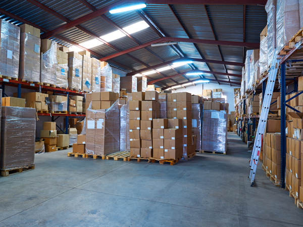 leading packaging transport company india